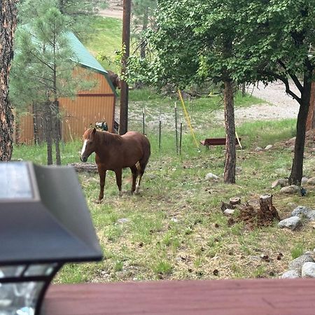 Gonzales Cozy Little Bear Cabin Ruidoso Extérieur photo