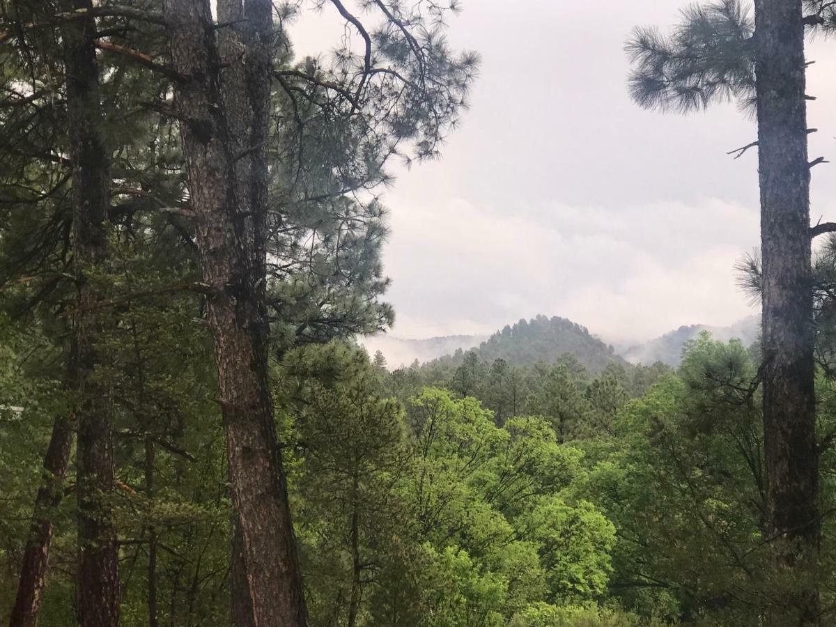 Gonzales Cozy Little Bear Cabin Ruidoso Extérieur photo