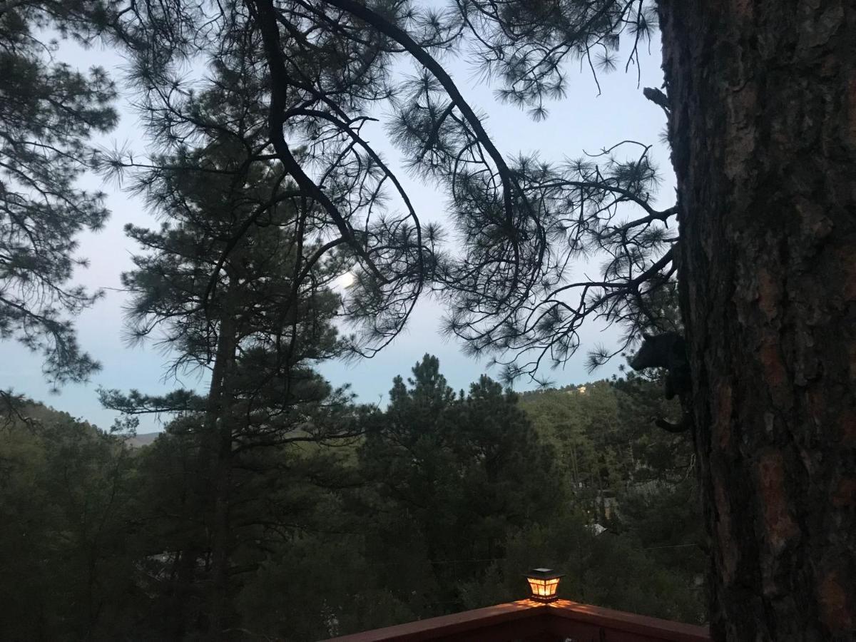 Gonzales Cozy Little Bear Cabin Ruidoso Extérieur photo